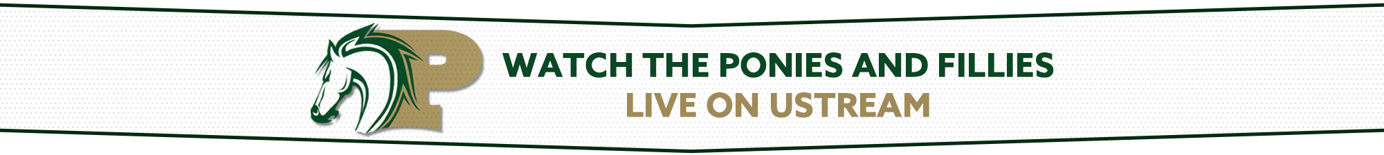 Live Stream